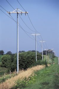 Distribution